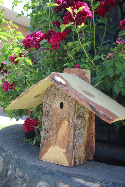 Downy Woodpecker Birdhouse | Kurt Miller - Feathered Friends of Santa Fe (www.ffofsf.com)