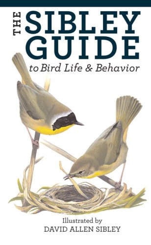 The Sibley Guide to Bird Life & Behavior by David Allen Sibley