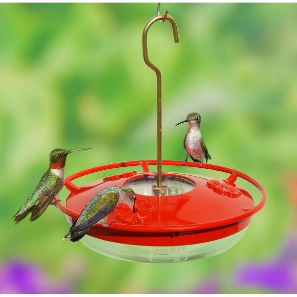 Mini 8oz High View Hummingbird Feeder