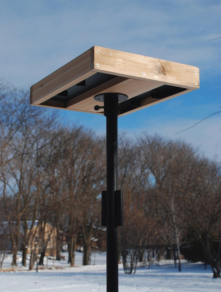 Audubon 3-in-1 Platform Feeder
