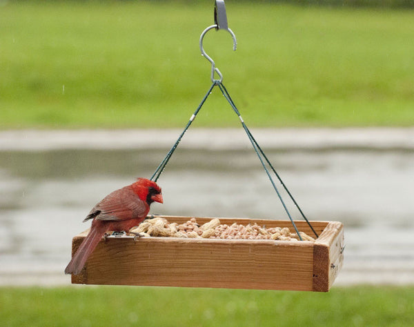 Audubon 3-in-1 Platform Feeder