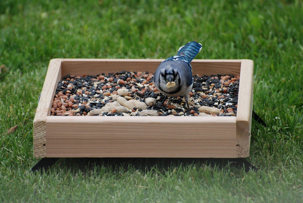 Audubon 3-in-1 Platform Feeder