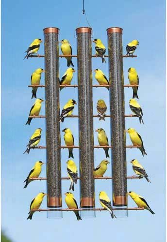 Finches Favorite 3-Tube Feeder