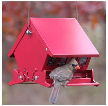Mini Absolute Squirrel Proof Feeder (Red)