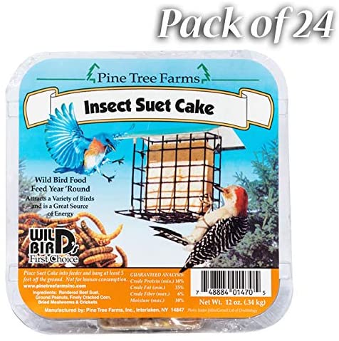 Insect Suet Cake