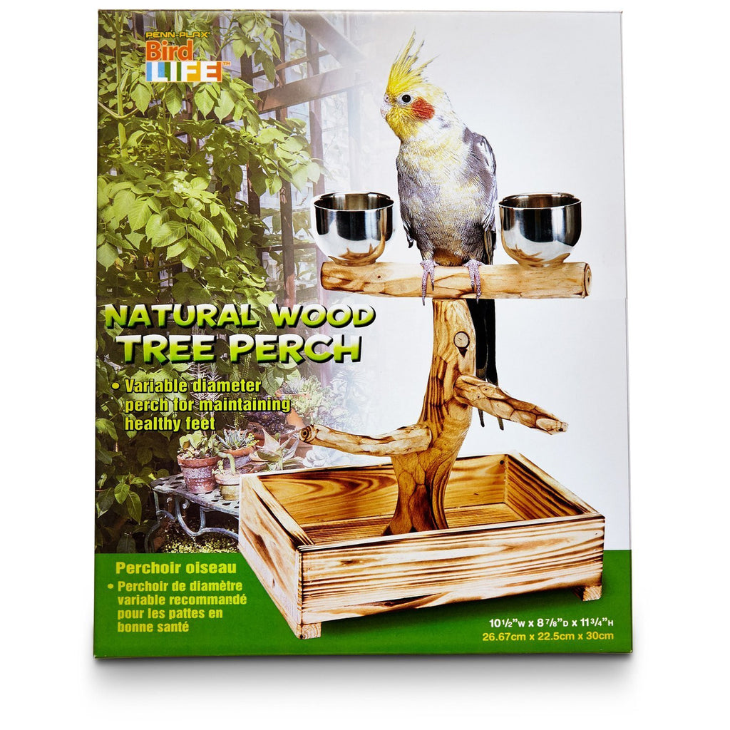 Bird Life Tree Perch, Small - Feathered Friends of Santa Fe (www.ffofsf.com)