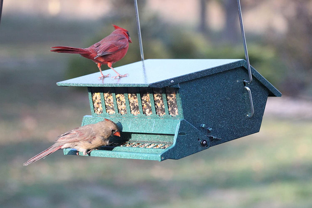 Birds Delight Squirrel Resistant Bird Feeder