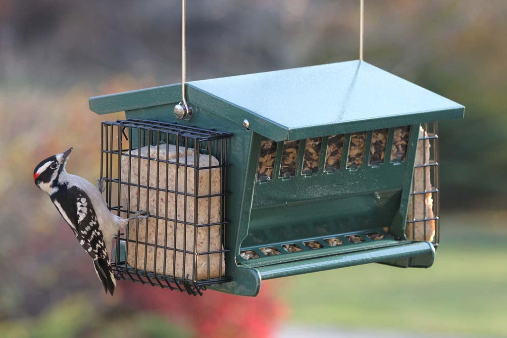 Audubon Mini Seeds N More Green