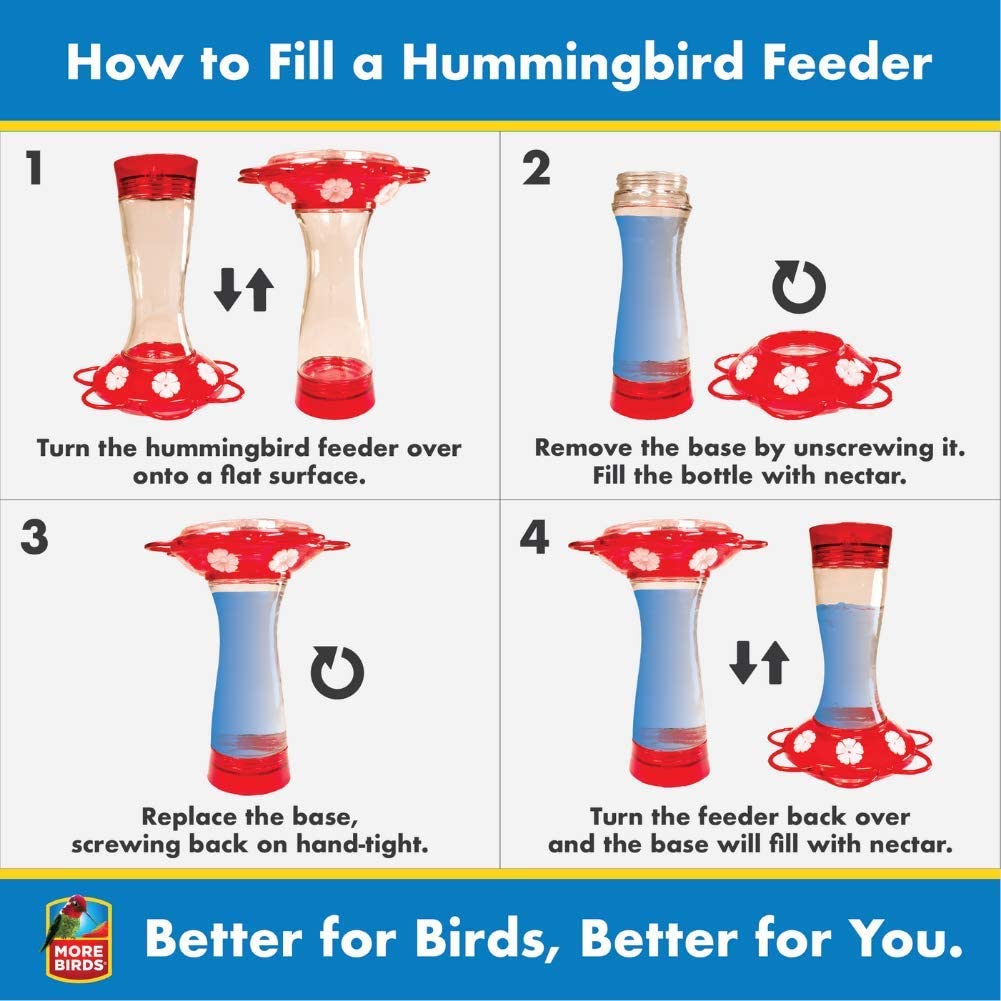 Big Gulp Hummingbird Feeder (40 Oz.)
