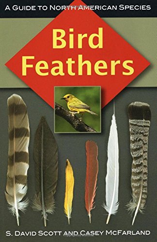 BIRD FEATHERS by Scott & McFarland