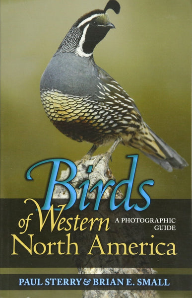 Birds of Western North America (A Photographic Guide) by Paul Sterry & Brian E. Small