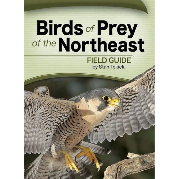 Birds of Prey of the Northeast field guide by Stan Tekiela