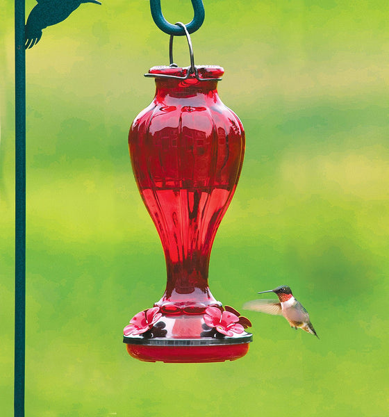 Stokes Red Blossom Hummingbird Feeder Glass - 25 oz.