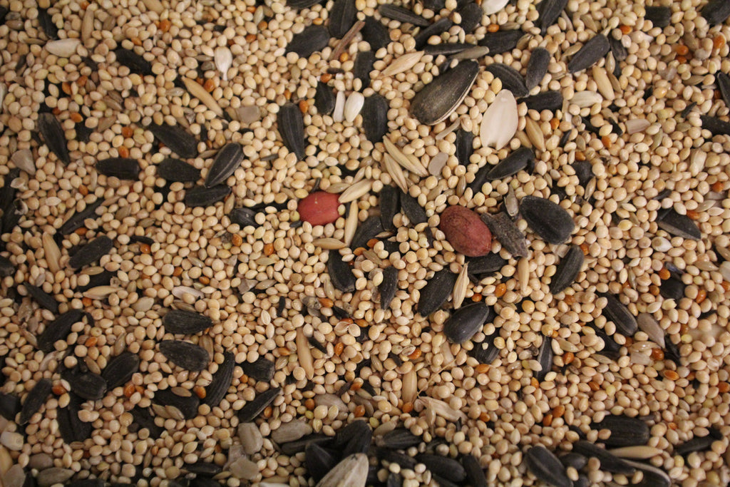 Canto de las Campanas (Song of Bells) | Wild Bird Seed 25 lb (11.33 kg) - Feathered Friends of Santa Fe (www.ffofsf.com)