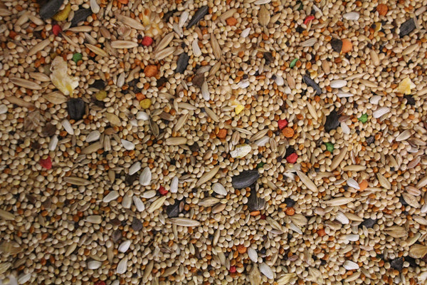 Cockatiel Buffet | Exotic Bird Seed - Feathered Friends of Santa Fe (www.ffofsf.com)
