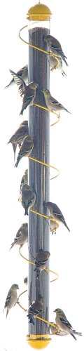 36 in. Spiral Finch Tube Feeder