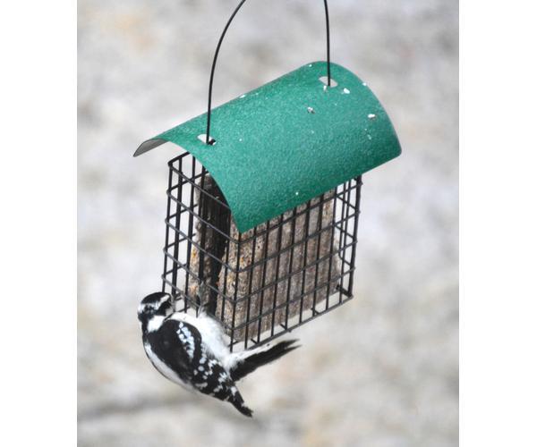 Deluxe Double Suet Cage (Hunter Green Roof)
