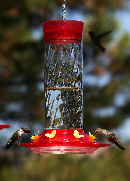 More Birds Diamond Glass Hummingbird Feeder - 30 oz.