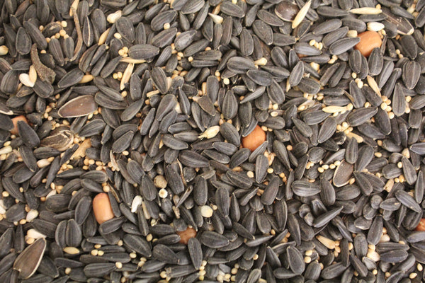 Eldorado Blend | Wild Bird Seed 20 lb (9.07 kg) - Feathered Friends of Santa Fe (www.ffofsf.com)