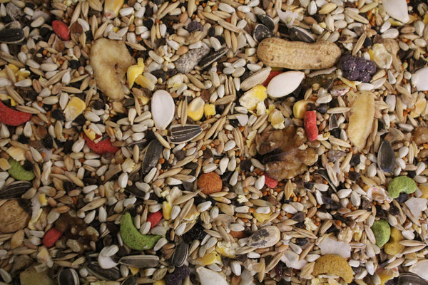 Fruit & Veggie Recipe | Exotic Bird Seed - Feathered Friends of Santa Fe (www.ffofsf.com)