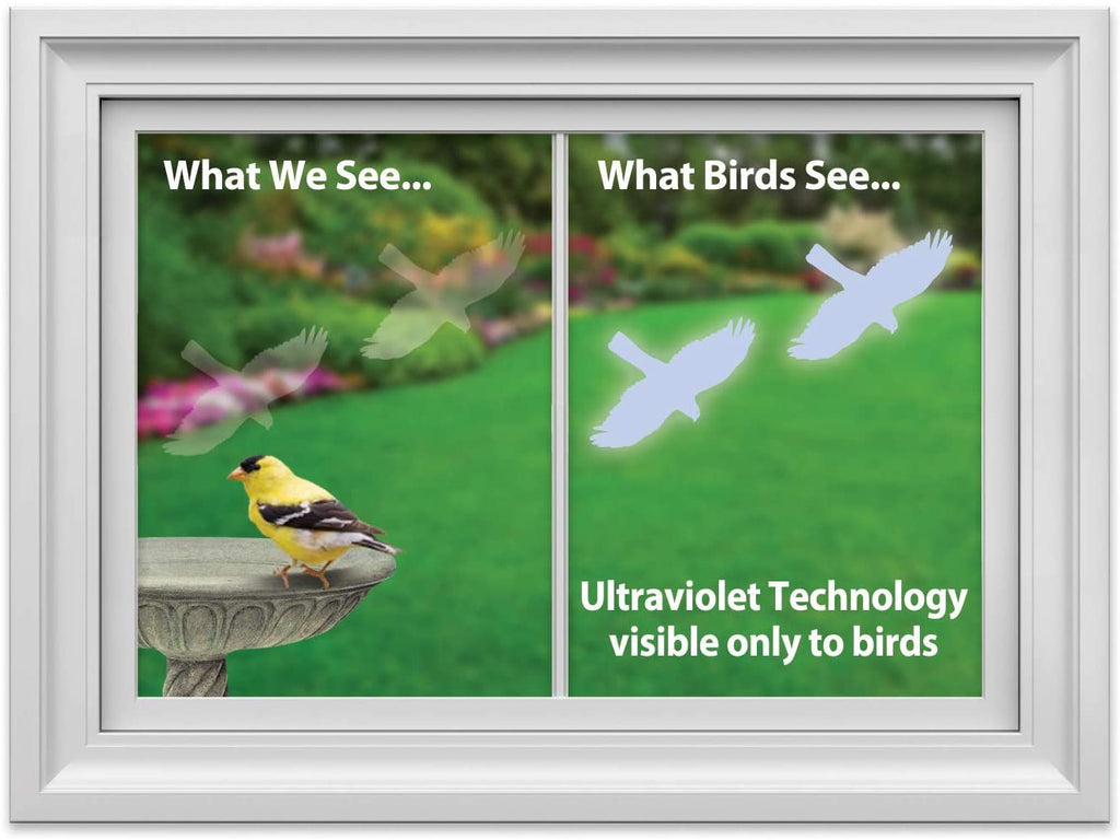 Window Alert | Hawk Decal