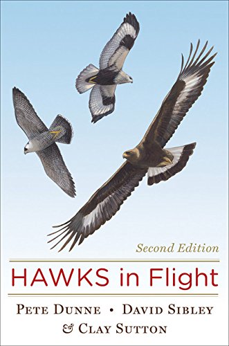 Hawks in Flight (Second Edition)