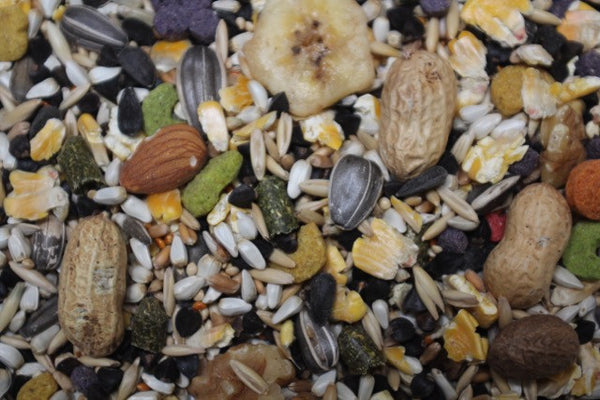 House Mix | Exotic Bird Seed - Feathered Friends of Santa Fe (www.ffofsf.com)