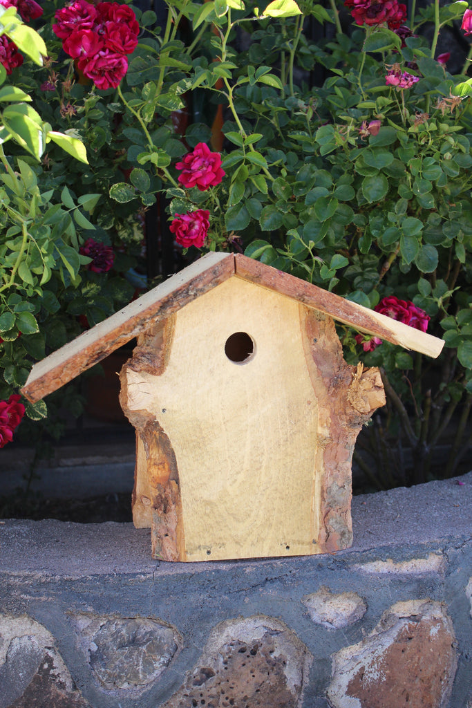 Downy Woodpecker Birdhouse | Kurt Miller - Feathered Friends of Santa Fe (www.ffofsf.com)