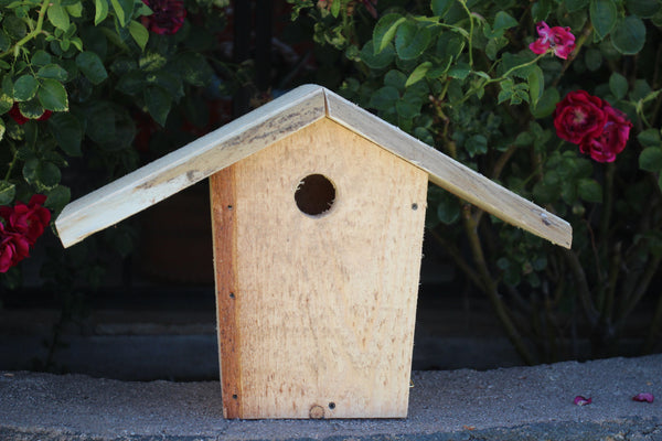 Bluebird Birdhouse | Kurt Miller - Feathered Friends of Santa Fe (www.ffofsf.com)