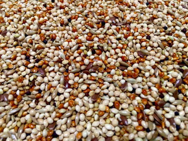 Finch Blend | Bird Seed - Feathered Friends of Santa Fe (www.ffofsf.com)