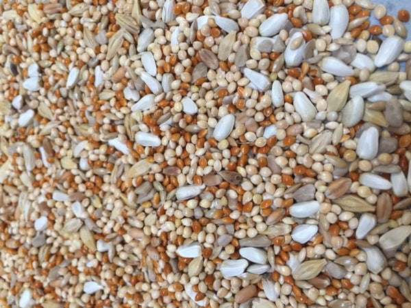 Dove Blend | Bird Seed - Feathered Friends of Santa Fe (www.ffofsf.com)