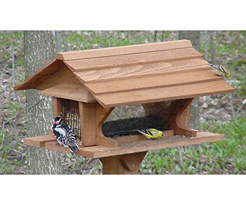 Super Bird Feeder - Holds 2 1/2 Gallon Seed/2 Suet Cakes