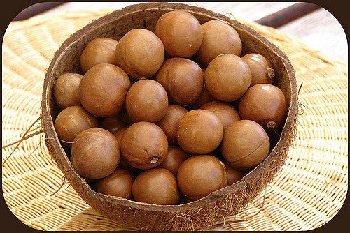 Macadamia Nuts In The Shell - Feathered Friends of Santa Fe (www.ffofsf.com)
