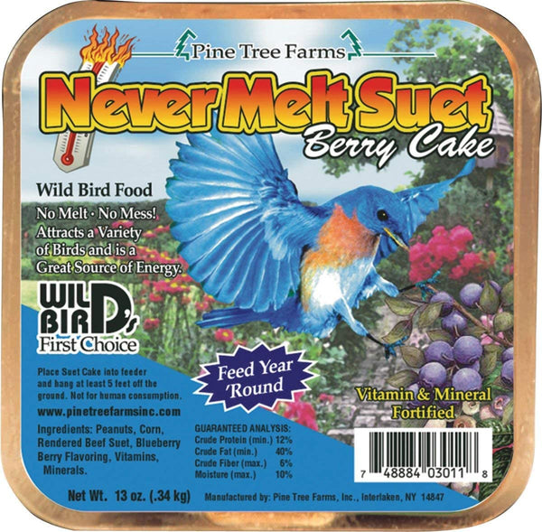 Never Melt Suet Berry Cake