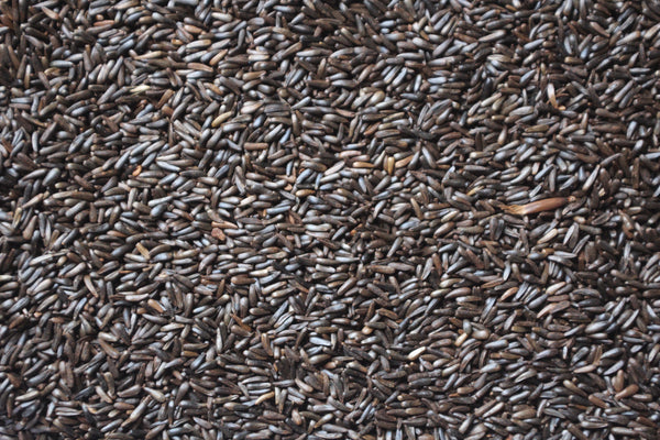 Nyger Seed (Thistle Seed) | Wild Bird Seed - Feathered Friends of Santa Fe (www.ffofsf.com)