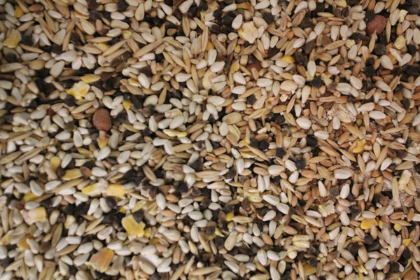 Parrot (Safflower) Mix | Exotic Bird Seed - Feathered Friends of Santa Fe (www.ffofsf.com)