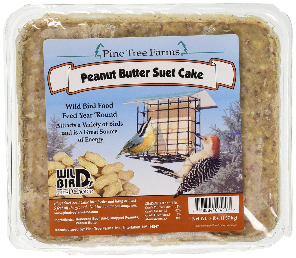 Peanut Butter Suet Cake | Wild Bird Food - Feathered Friends of Santa Fe (www.ffofsf.com)