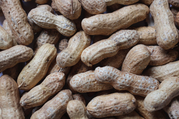 Peanuts w/ Shell | Bird Seed - Feathered Friends of Santa Fe (www.ffofsf.com)