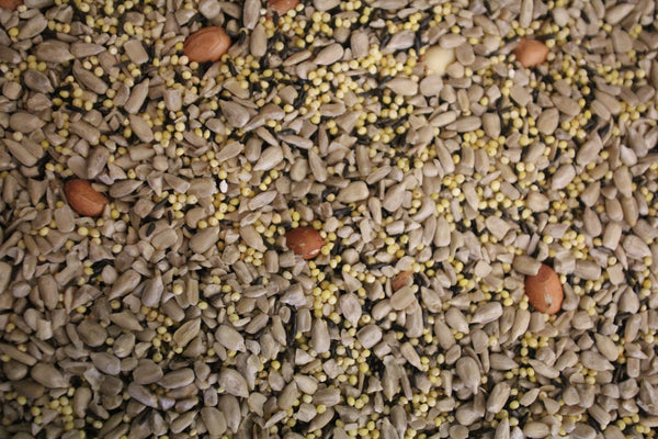 Perfecto Portal (Perfect Patio) | Wild Bird Seed 20 lb (9.07 kg) - Feathered Friends of Santa Fe (www.ffofsf.com)