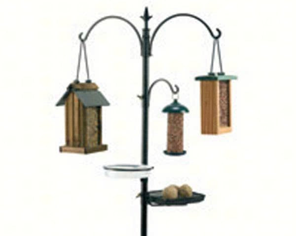 Wild Bird Feeding Station Kit