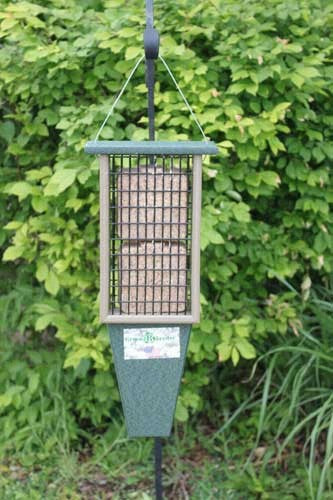 Double Suet Feeder