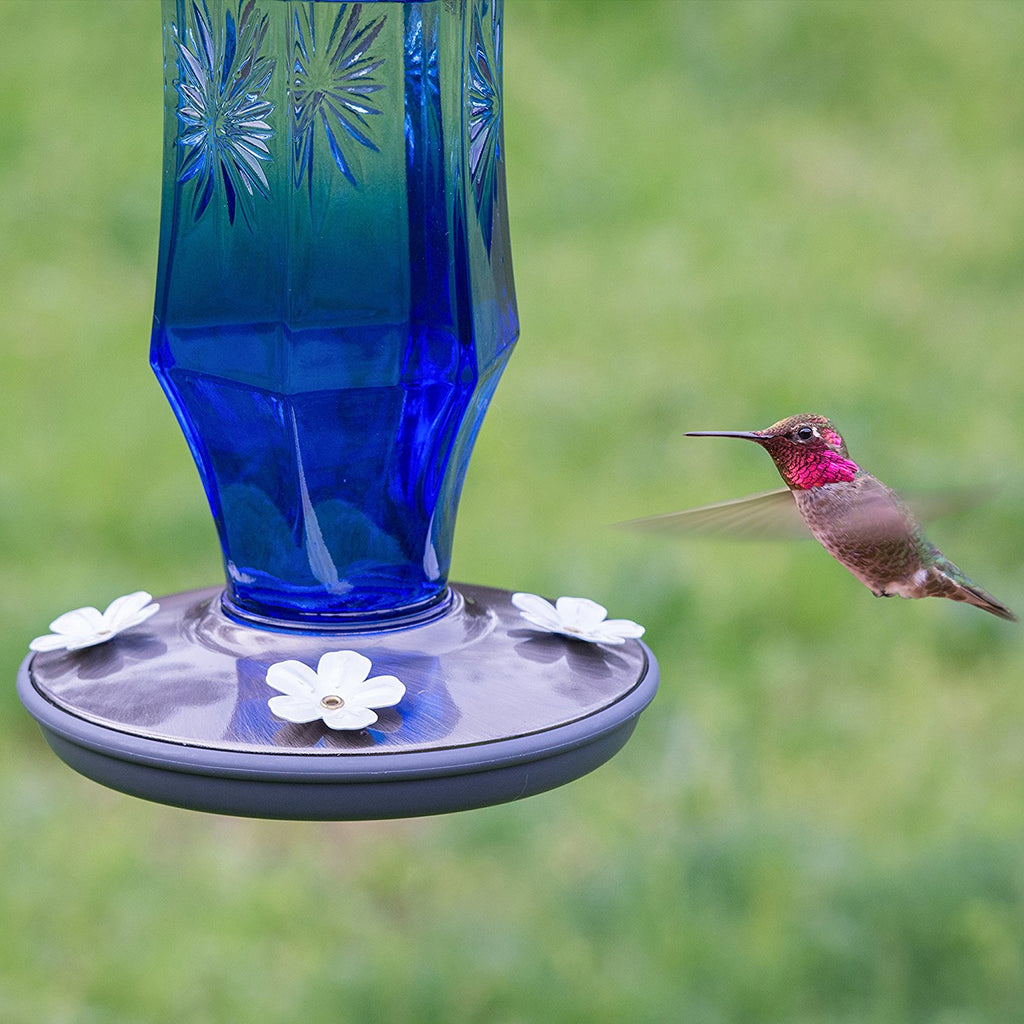 Perky Pet Vintage Sapphire Starburst Hummingbird Feeder - 16 oz.