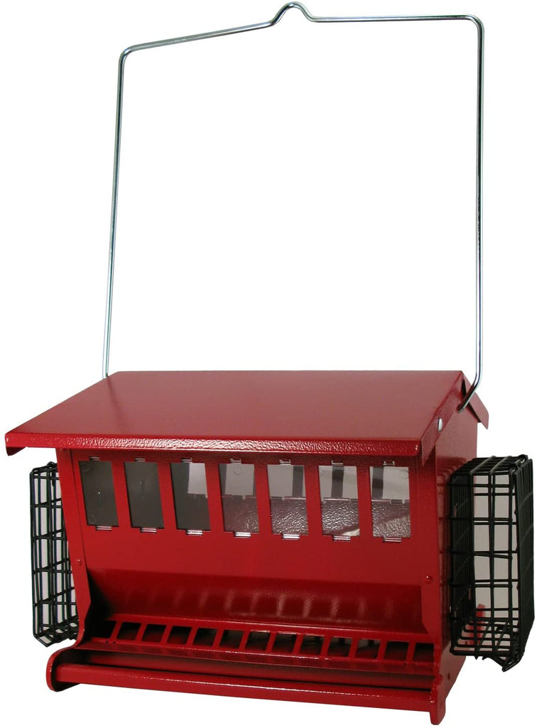 Audubon Seeds 'n More Metal Hopper Bird Feeder