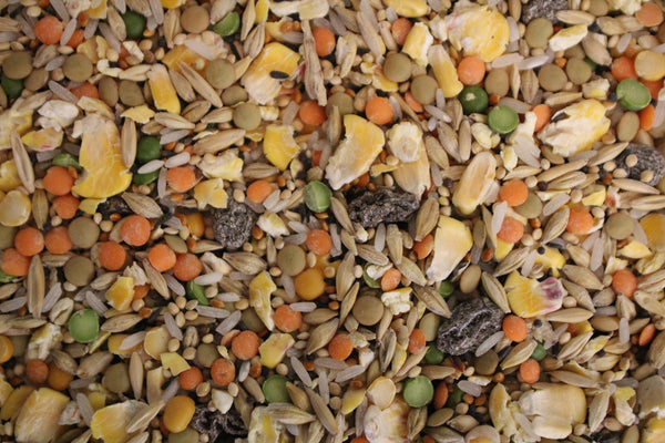 Soak Mix | Exotic Bird Seed - Feathered Friends of Santa Fe (www.ffofsf.com)