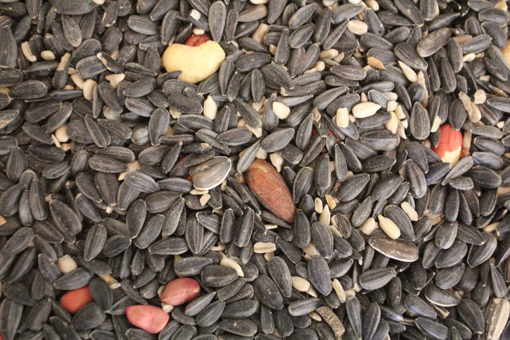 Tesuque Blend | Wild Bird Seed 20 lb (9.07 kg) - Feathered Friends of Santa Fe (www.ffofsf.com)