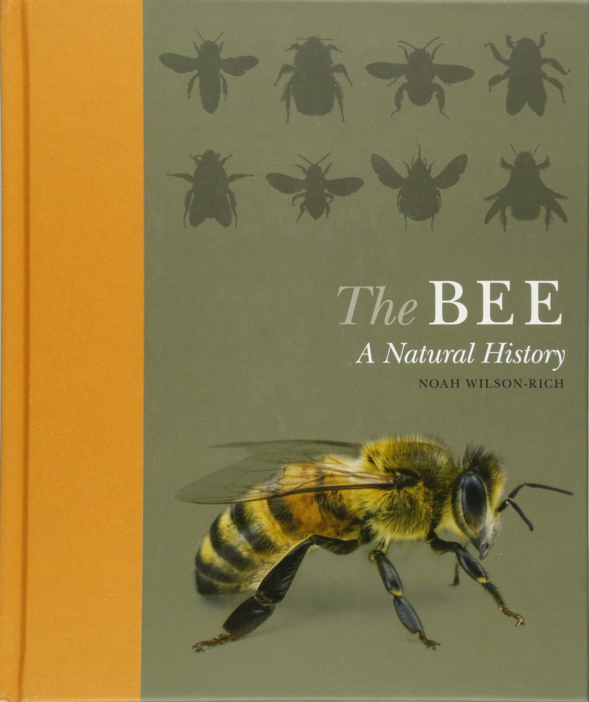 The BEE -A Natural History by Noah Wilson-Rich