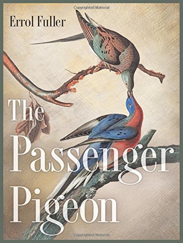 The Passenger Pigeon by Errol Fuller