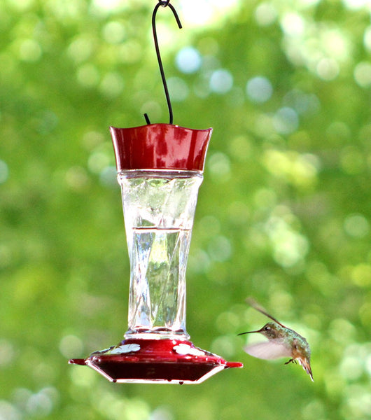 More Birds Twist Hummingbird Feeder 11 oz.