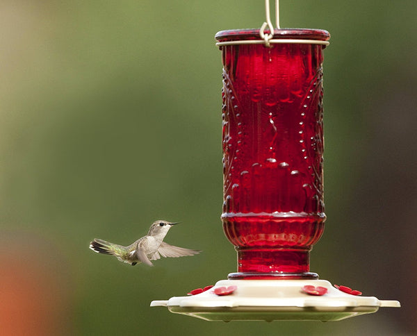 Red Vintage Hummingbird Feeder - 20 fl. oz.