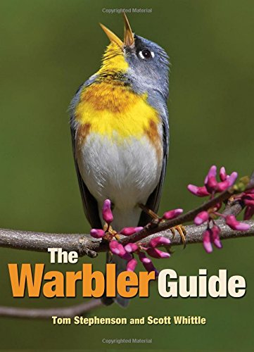 The Warbler Guide by Tom Stephenson and Scott Whittle